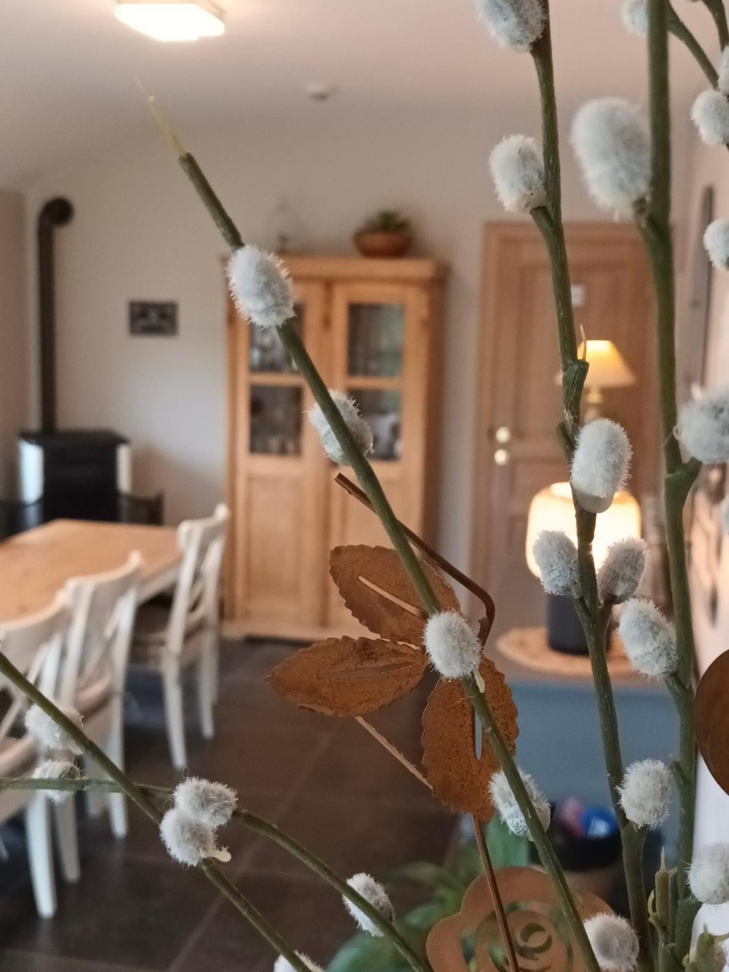 Le Relais De La Motte Bed & Breakfast Soignies ภายนอก รูปภาพ